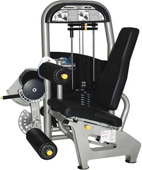 Extended machine. Гребная тяга Bronze Gym a9-004. Сгибание/разгибание ног Bronze Gym m5-13/14 Dual. Тренажер WNQ для разгибания ног. Жим WNQ Magnum a-5222